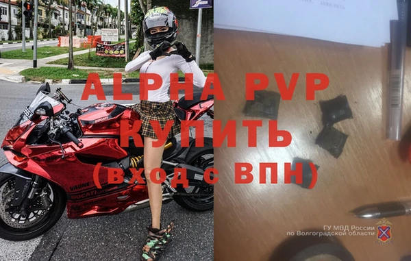 гашик Пересвет